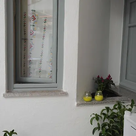 My Eco לינה וארוחת בוקר אולביה