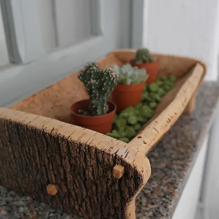 My Eco Alojamento de Acomodação e Pequeno-almoço *