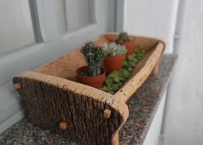 My Eco 住宿加早餐酒店 3*